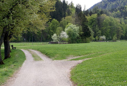 Weggabelung, Wanderweg