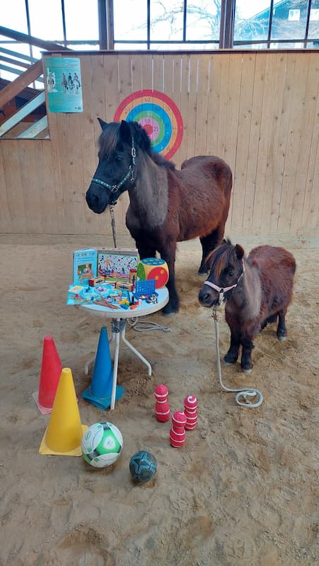 Zwei Pferde mit Spielzeugen