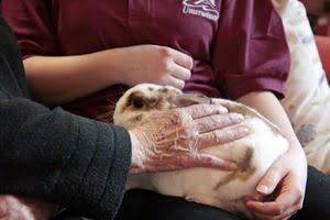 Tiergestützte Therapie