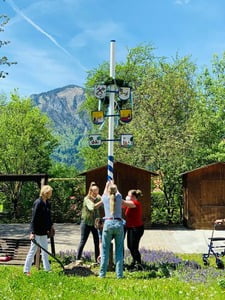 Maibaum wird aufgestellt