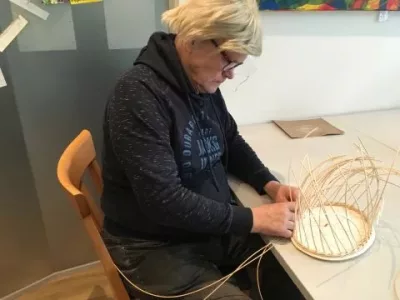 Peddigrohrflechten